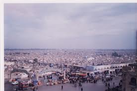 دعوة لإنشاء محمية طبيعية في بادية النجف