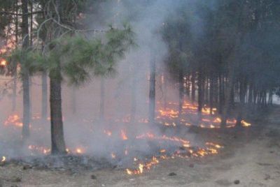 صحف اسرائيلية: حرائق حيفا فضحت استعدادات اسرائيل لمواجهة اي حرب قادمة