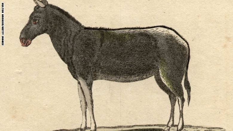 عندما قال البغل "الحصان خالي" ورد النغل "الحمار خالي"