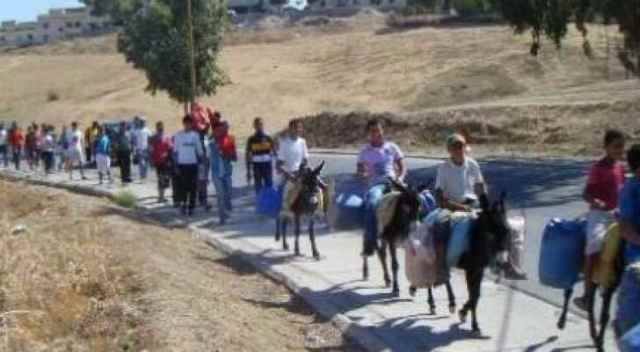 أردنيون يسيرون على “الحمير” بعد قرار الحكومة رفع أسعار المحروقات