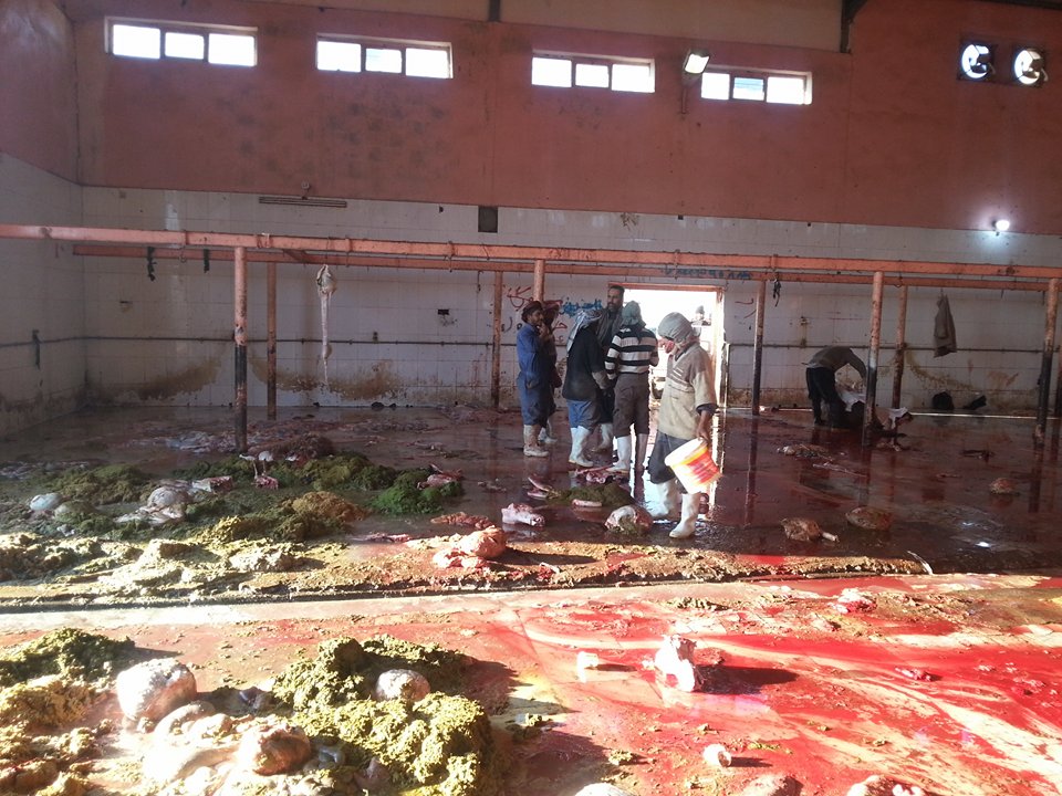 وزير الصحة توعز بغلق مجررة كربلاء والبلدية تطالبها ببديل