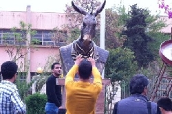 تمثال للحمار في قلب السليمانية