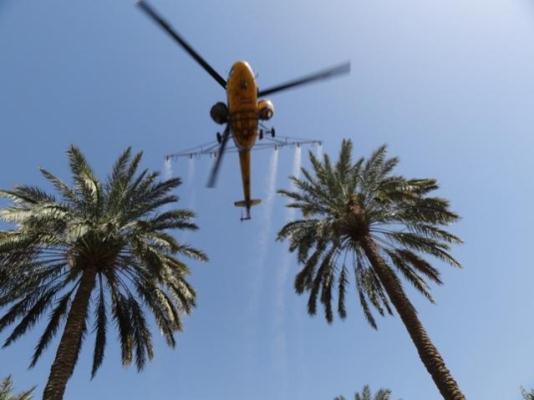 طائرات فرنسية تكافح  حشرة الدوباس في كربلاء