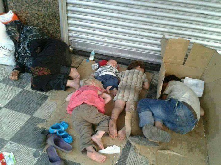 شاهدوا بالصور التركمان الشيعة بعد ان هجرتهم عصابات داعش في مخيمات قرب اربيل