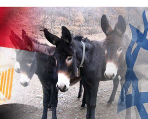 إسرائيل تطلب من مصر شراء 100 ألف حمار