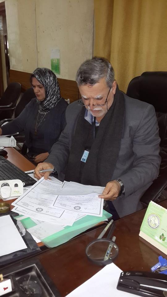 زراعة بغداد تكشف عن ما سوقته  من محصول الذرة الصفراء خلال عام 2013