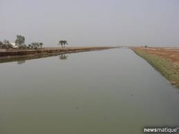 الكميات الشلب المسوقة  إلى مواقع الشركة العامة لتجارة الحبوب تشارف على 82000 طن