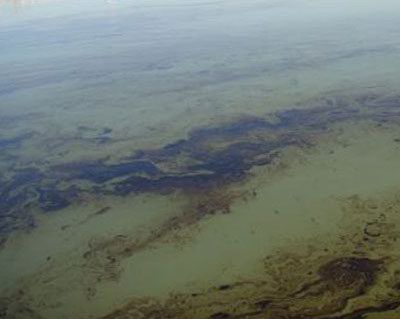 تسرب بقعة نفطية كبيرة الى نهر الغراف نتيجة كسر في أنبوب ناقل للنفط