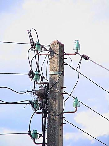 قضاء الحر تعاني من انقطاع مستمر للتيار الكهربائي وكهرباء كربلاء تعزو السبب لكثرة التجاوزات على الشبكة