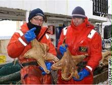 علماء يكتشفون مخلوقات "عملاقة" بمياه أنتراكتيكا