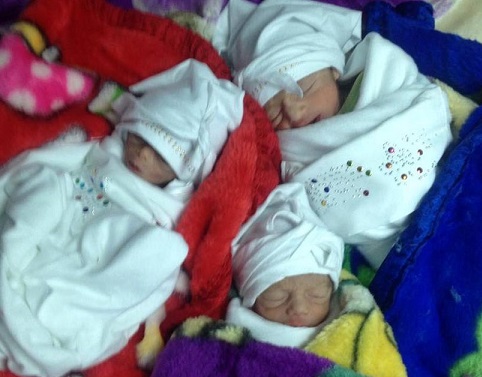 صحة كربلاء تعلن عن ولادة 32262 طفل وطفلة خلال العام 2015