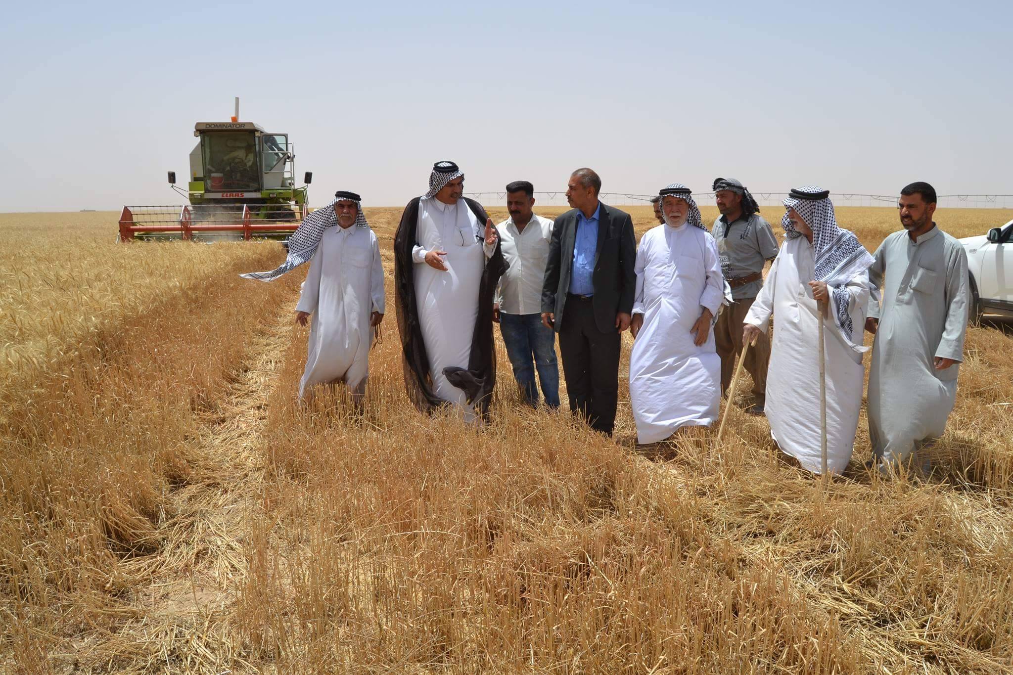 تسويق أكثر من 27 ألف طن من الحنطة والشعير  في كربلاء