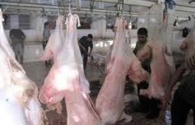 تكريم  القصابين في محافظة كربلاء المقدسة