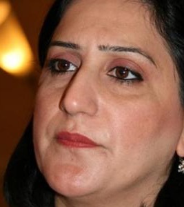 الجاف  تطالب باعفاء العراقيين من سمة الدخول بين العراق والهند والاردن