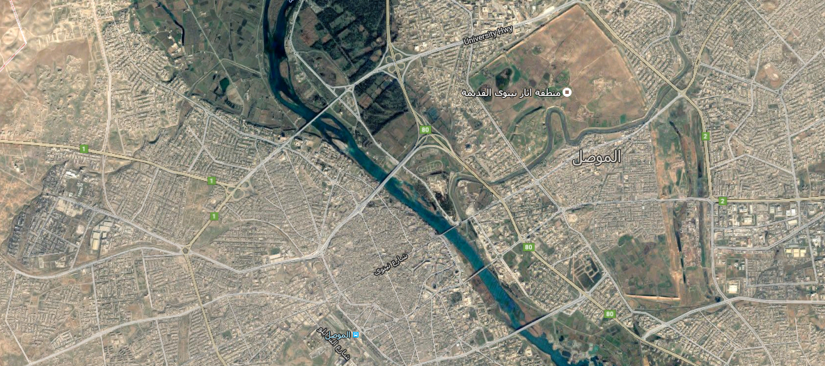 عضاضات "داعش" يهربن من الموصل والتنظيم يعدم إحداهن غربي المدينة