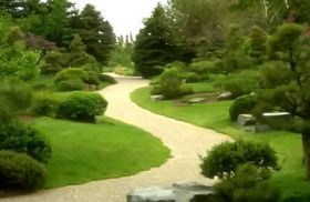 الصين تدخل موسوعة غينيس بأكبر حديقة نباتات طبية بالعالم