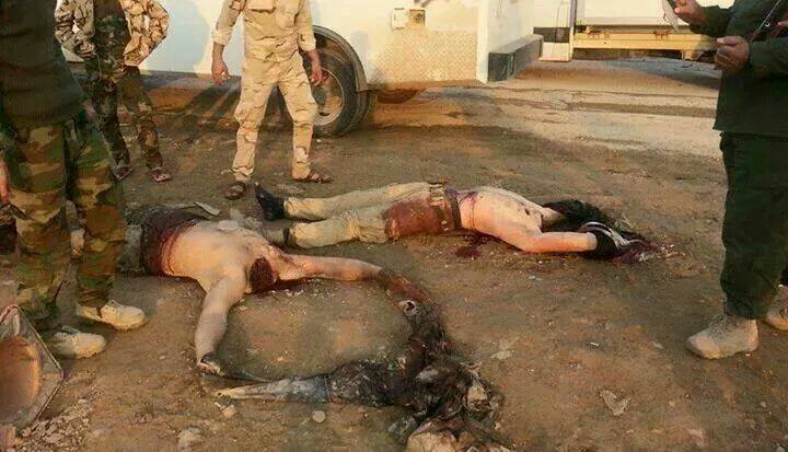 عاجل شاهد بالصور : جثث الدواعش الارهابيين  تملأ ارض المكيشيفة شمال مدينة سامراء