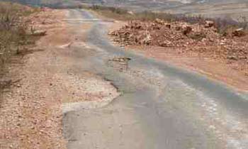 العمل بمشروع صيانة واكساء طريق الرزازة –عين التمر بطول( 40 كم ) في كربلاء