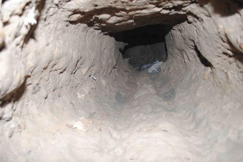 سجناء تسفيرات الرصافة يحفرون نفقا للهروب والحراس يحبطون العملية