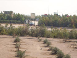 اختيار كربلاء كاول موقع بالعراق لمعالجة العواصف الغبارية والتصحر بكلفة  2 مليون دولار