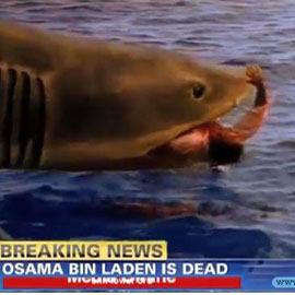 موقع نون يعرض صور  لجثة   "أسامة بن لادن" في فك سمك القرش بالبحر