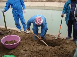 محافظ كربلاء يطالب وزارة البيئة لوضع حلول لمياه الصرف الصحي التي تبزل في نهر دجلة ويتهمها بتسيس قضية تلوث نهر الحسينية