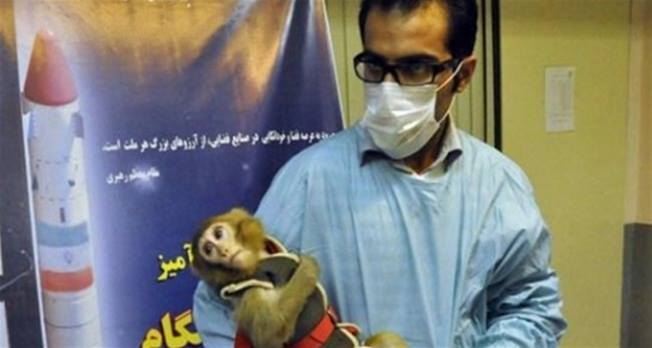 إيران تطلق قرداً إلى الفضاء وتعيده سالماً الى الأرض