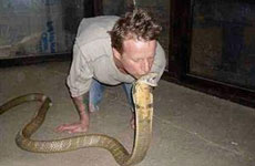 صديق الأفاعي يلقى مصرعه بلدغة كوبرا