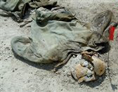 مقبرة جماعية لضحايا البعث البائد في الديوانية تضم 222 كردي  (مصور)