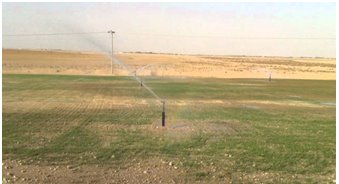 نشر 30 مرشة ثابتة في عموم محافظة كربلاء المقدسة