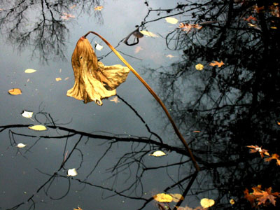 بيع لوحة زيتية التقطت من القمامة بأكثر من مليون دولار