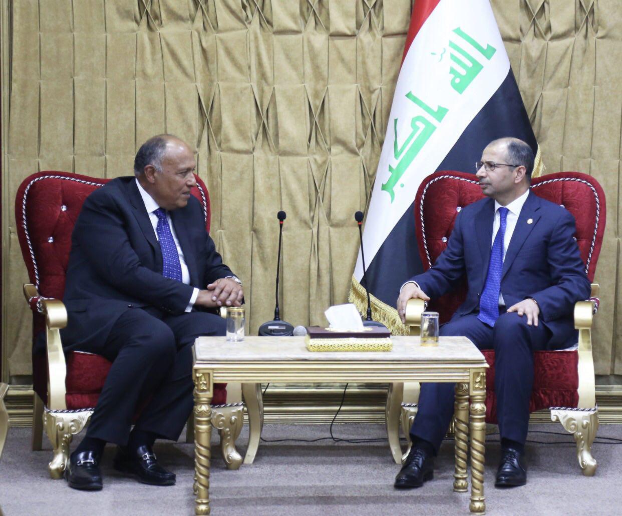 الجبوري لشكري: العراق حريص على مد جسور التواصل مع جميع اشقاءه العرب (فيديو)