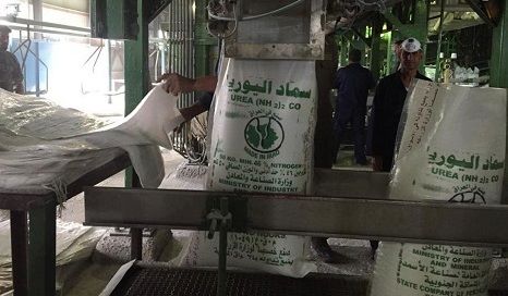 زراعة كربلاء توزع لاول مرة سماد اليوريا على مزارعي الشعير في كربلاء