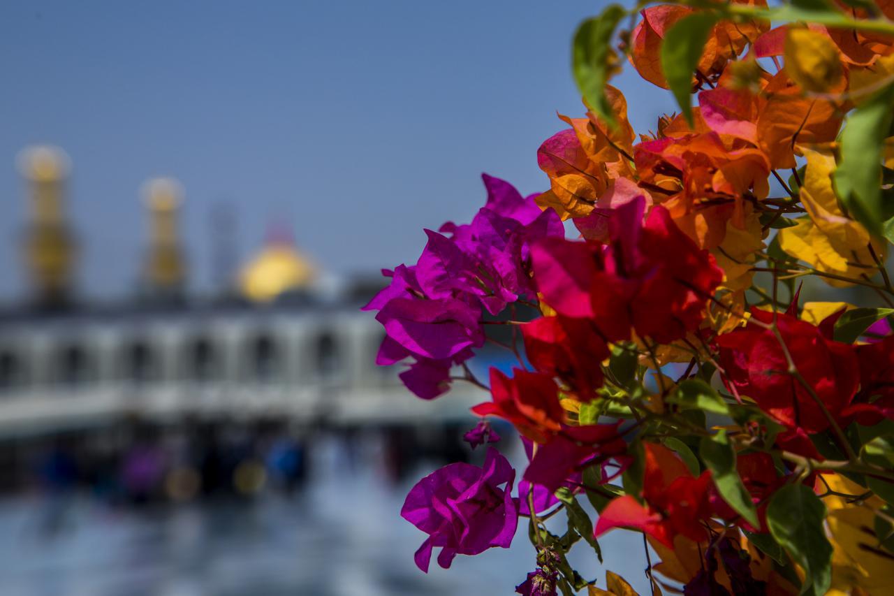 انخفاض درجات الحرارة الاسبوع الحالي