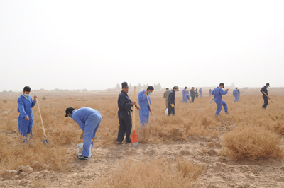 حملة لاصطياد ومكافحة القوارض في كربلاء للمرة الاولى بالعراق(مصور)