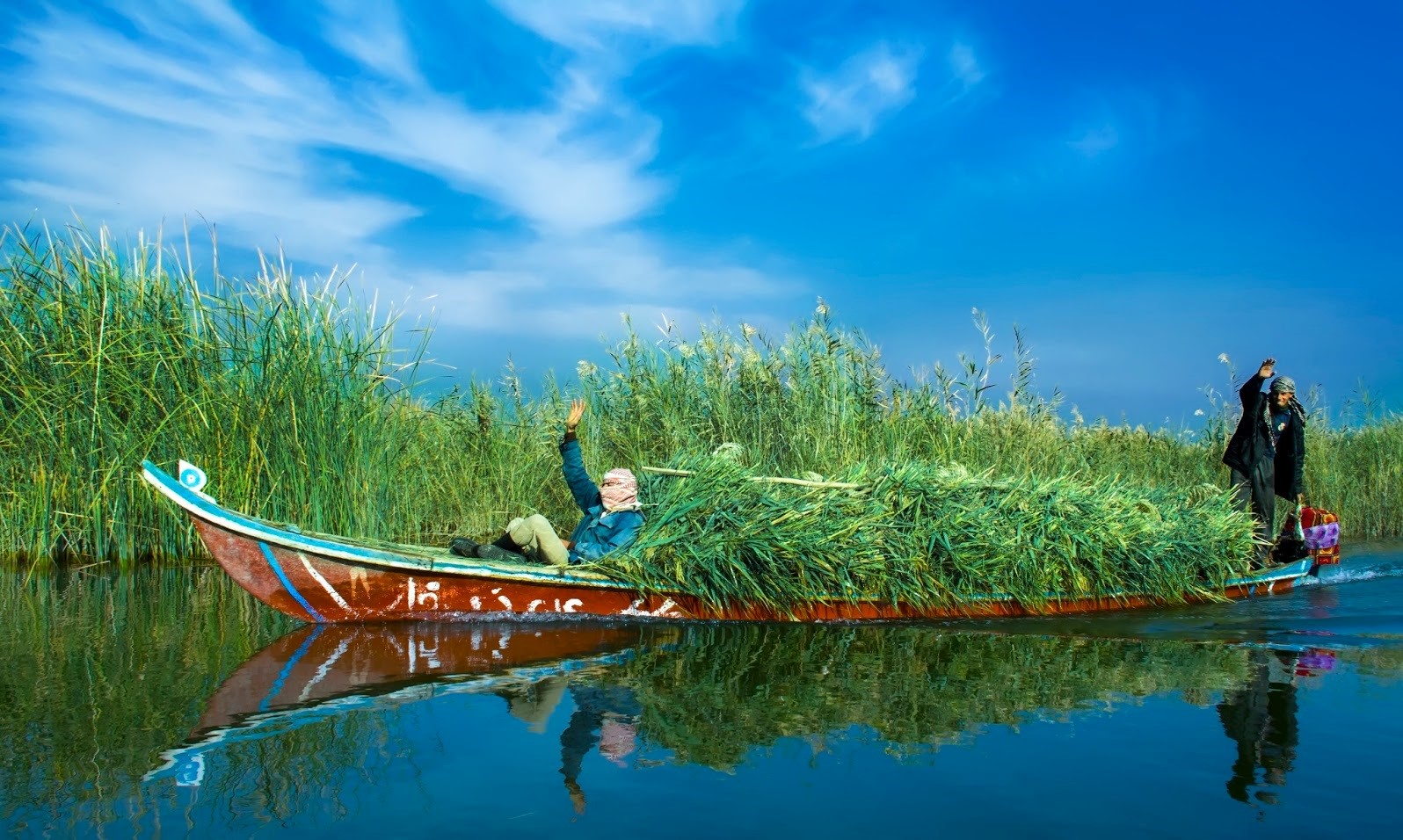 ذي قار تطالب وزارة النقل بالإسراع لإدخال معدات البدالة اللاسلكية لمناطق الاهوار