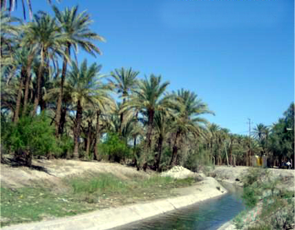 قضاء عين التمر يناشد وزارة الموارد المائية بضرورة فتح قناة من بحير الحبانية الى بحيرة الرزازة