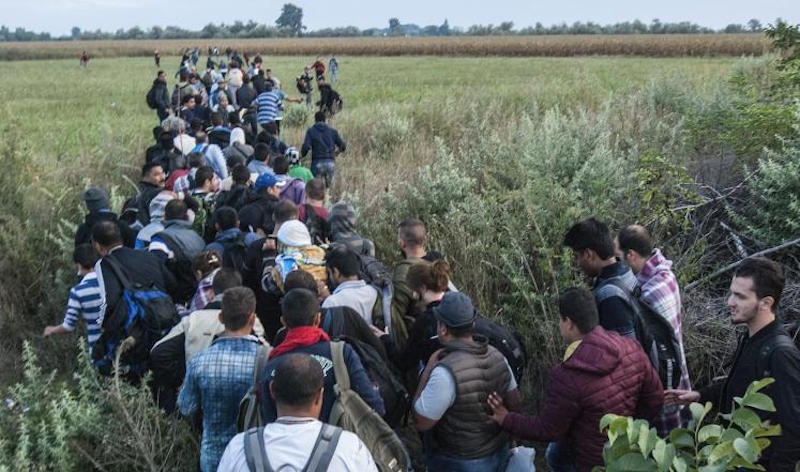 فنلندا تعلن فقدان الاتصال بآلاف اللاجئين وتصفه بـ"الاختفاء الغامض"