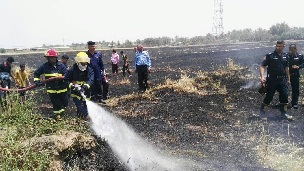 السيطرة على حريق اندلع بمزرعة حنطة شمال النجف