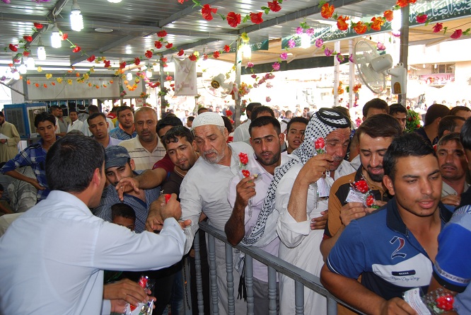 1180 وردة تقدم لزائري كربلاء في ذكرى ولادة الامام الحجة (مصور)