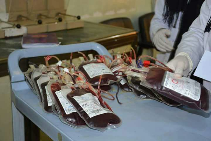 كربلاء: المصرف الرئيسي للدم يجمع أكثر من ( 700 ) قنينة دم استعدادا لزيارة عاشوراء