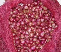 وزارة الزراعة تسمح بإستيراد محصول البصل