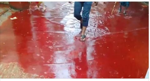 مدينة كاملة تغرق في أنهار من الدماء!