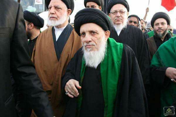 بالصور:المرجعان السيد محمد سعيد الحكيم والشيخ بشير النجفي يشاركان بالمسيرة المليونية الى كربلاء