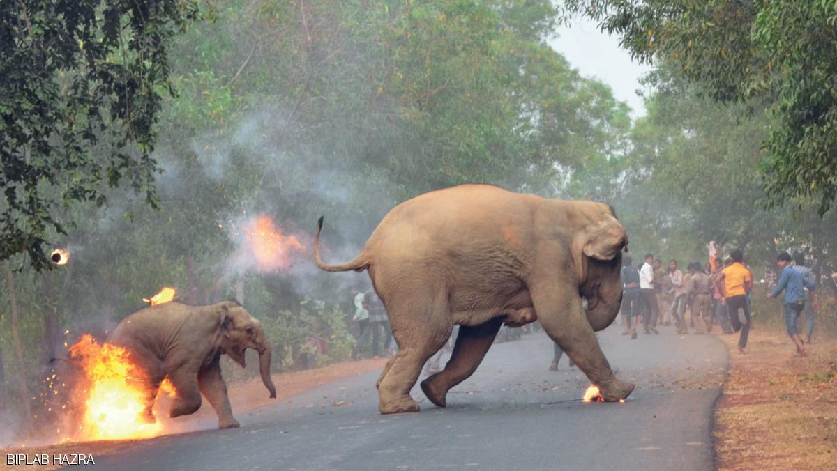 "هنا الجحيم".. قصة صورة حصدت جائزة مرموقة