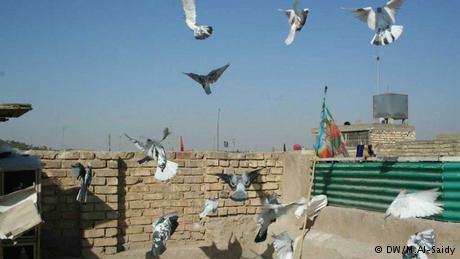 مربي الطيور "المطيرجية" والمجتمع, علاقة متأزمة