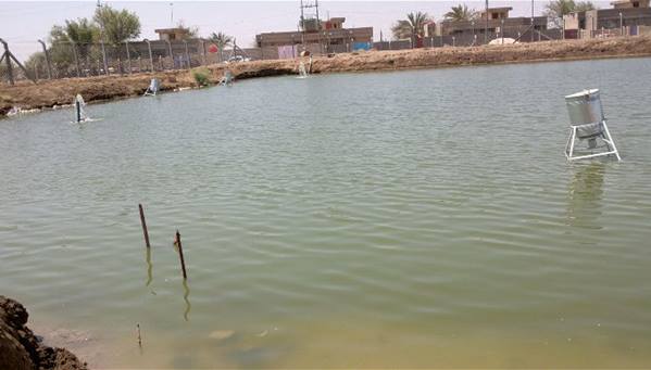 البديري: 7500 بحيرة متجاوزة تابعة لمتنفذين في بابل
