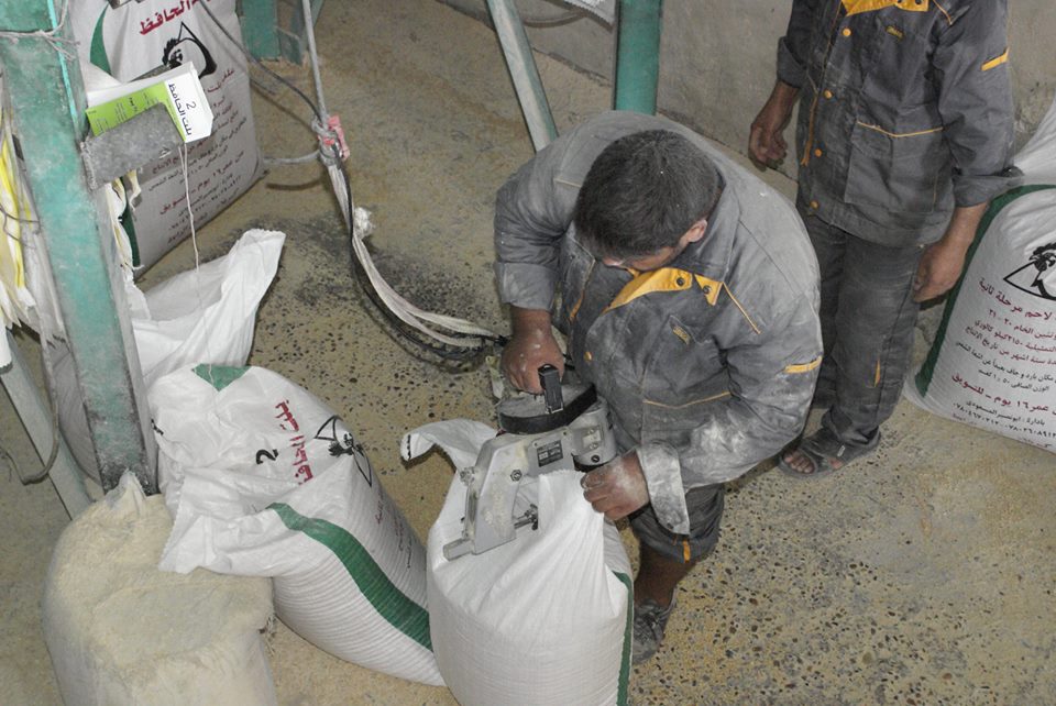 كربلاء تنتج  5200 طن من أعلاف الحيوانات خلال الشهر الجاري