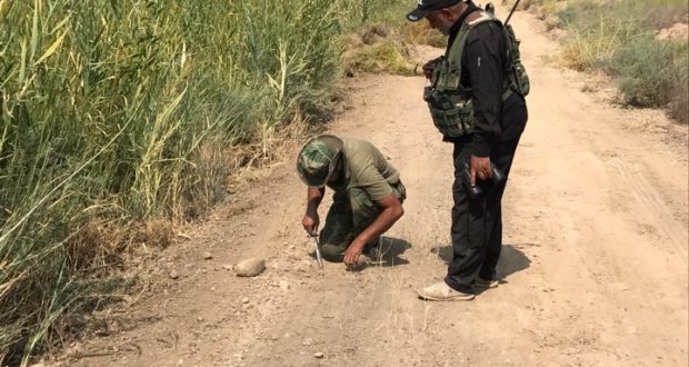 الجهد الهندسي بالحشد يفكك عشرات العبوات الناسفة في محوري ام ذيابة وسنجار مخلف