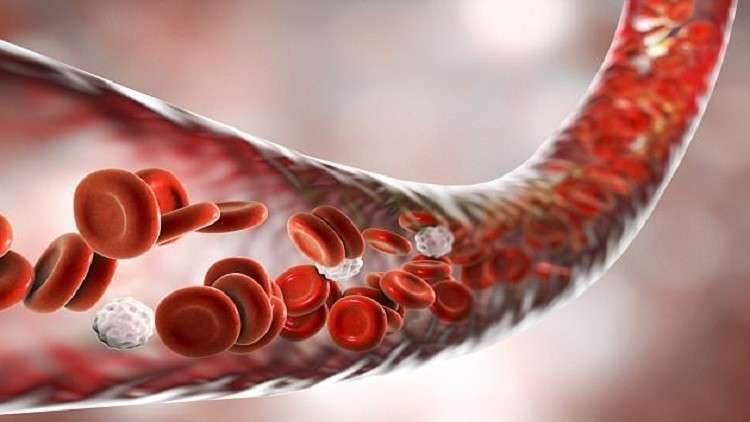 القضاء على السرطان بدءا من العام المقبل